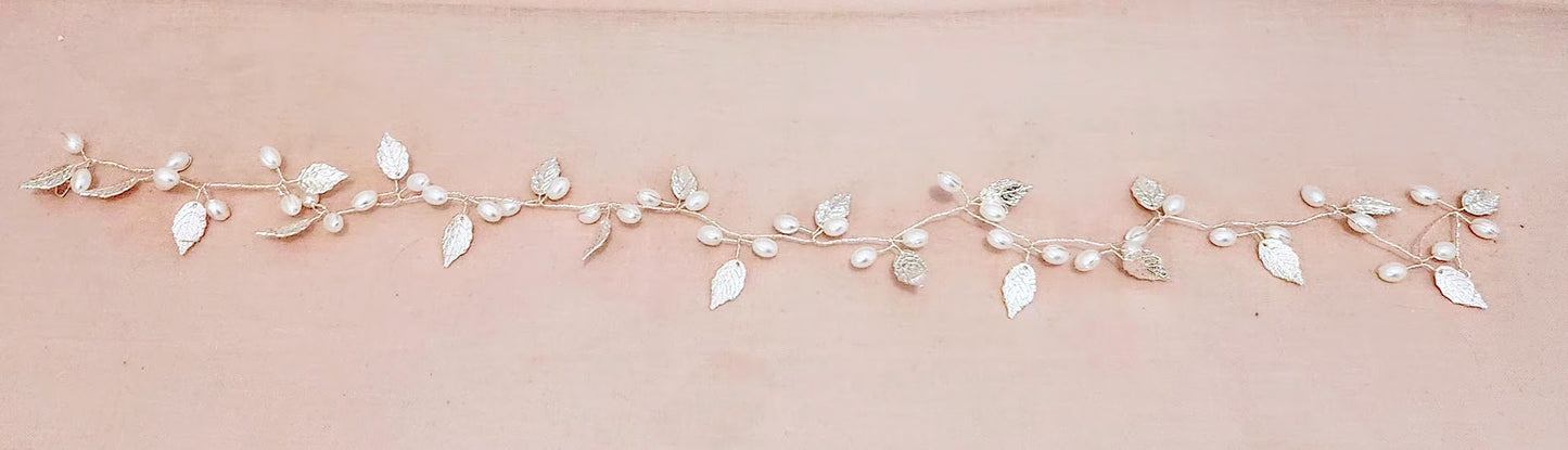 Cassiopeia Hairvine