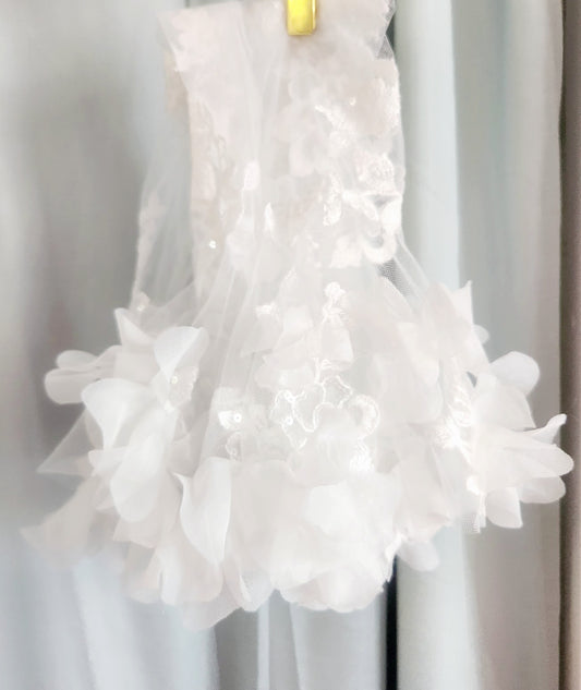 Sottero &  Midgley Lace Sleeves