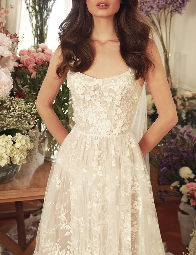 Dany Tabet Vida
